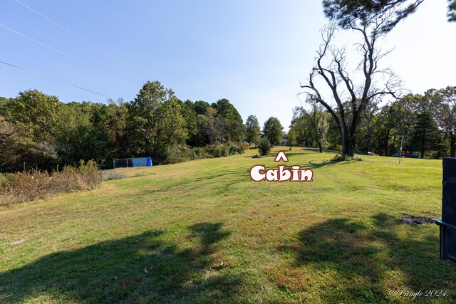 9744 County Road 8270, West Plains, MO 65775 - photo 37