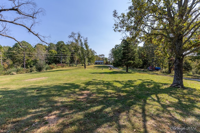 9744 County Road 8270, West Plains, MO 65775 - photo 35