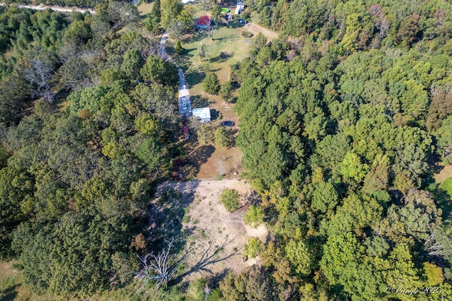 9744 County Road 8270, West Plains, MO 65775 - photo 43