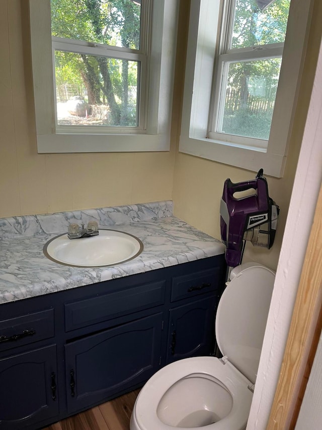 bathroom with vanity, hardwood / wood-style floors, and toilet