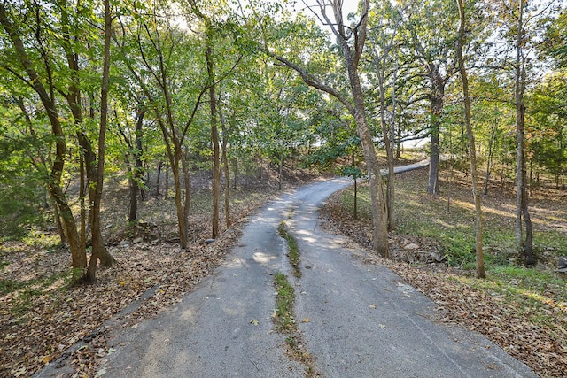 view of road