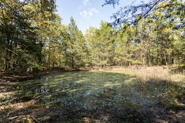 000 County Road 831, Gainesville MO, 65655 land for sale