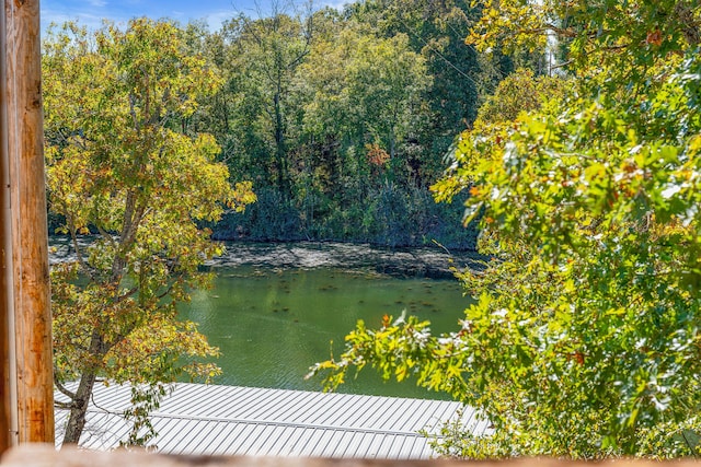 view of water feature