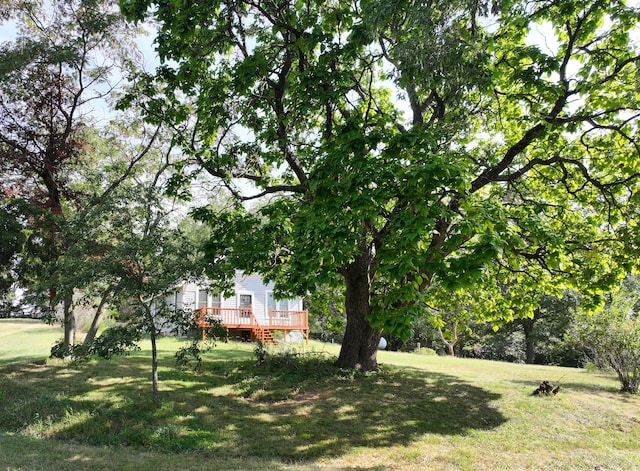 view of yard featuring a wooden deck