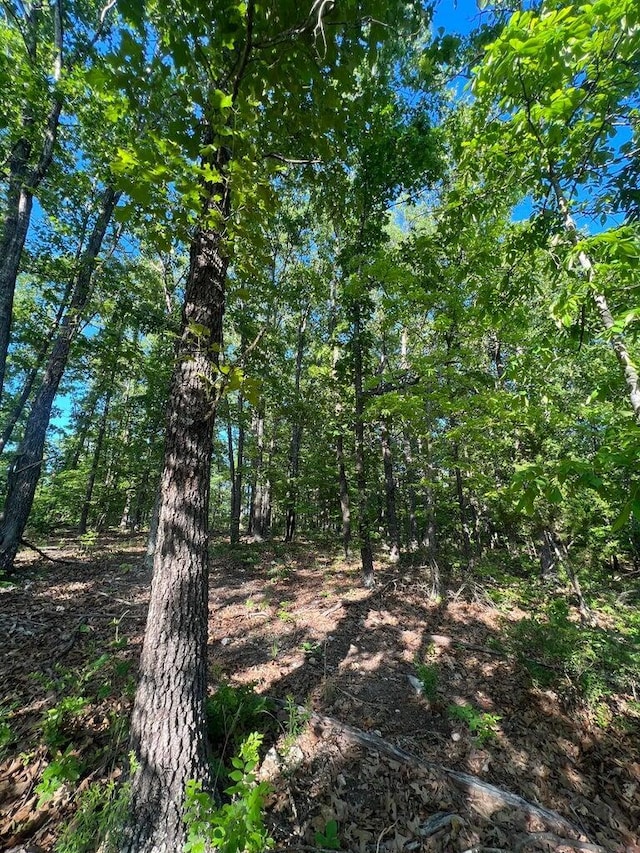 Tbd County Road 553a, Gainesville, MO 65655 - photo 10