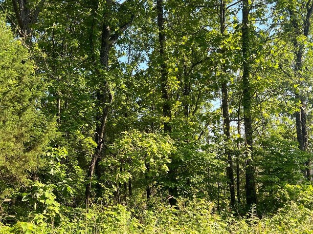 Tbd County Road 553a, Gainesville, MO 65655 - photo 12