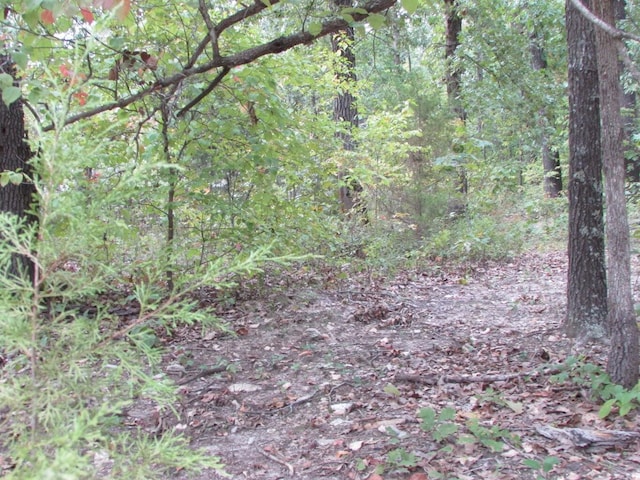 Tbd County Road 553a, Gainesville, MO 65655 - photo 19