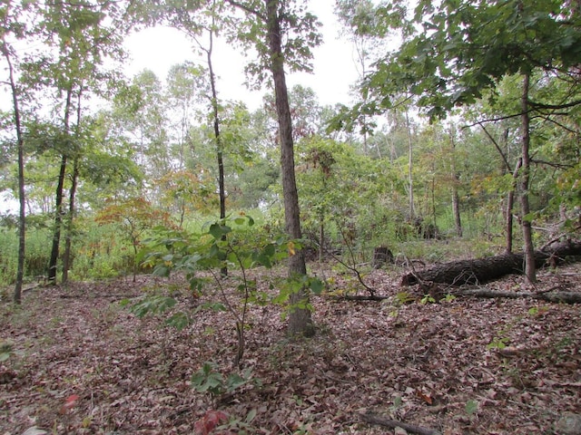 Tbd County Road 553a, Gainesville, MO 65655 - photo 21