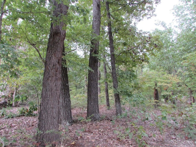 Tbd County Road 553a, Gainesville, MO 65655 - photo 14