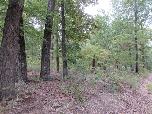Tbd County Road 553a, Gainesville, MO 65655 - photo 23