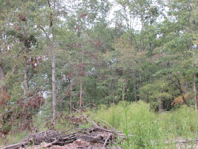 Tbd County Road 553a, Gainesville, MO 65655 - photo 24