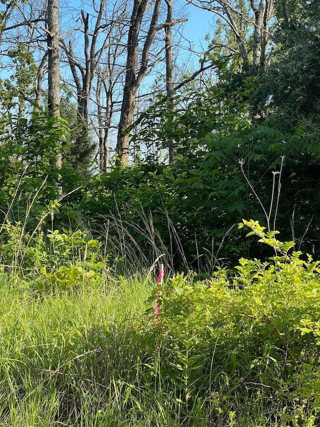 Tbd County Road 553a, Gainesville, MO 65655 - photo 13