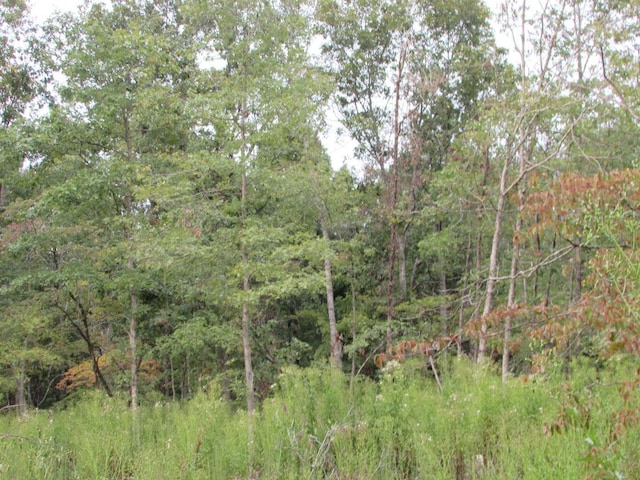 Tbd County Road 553a, Gainesville, MO 65655 - photo 20