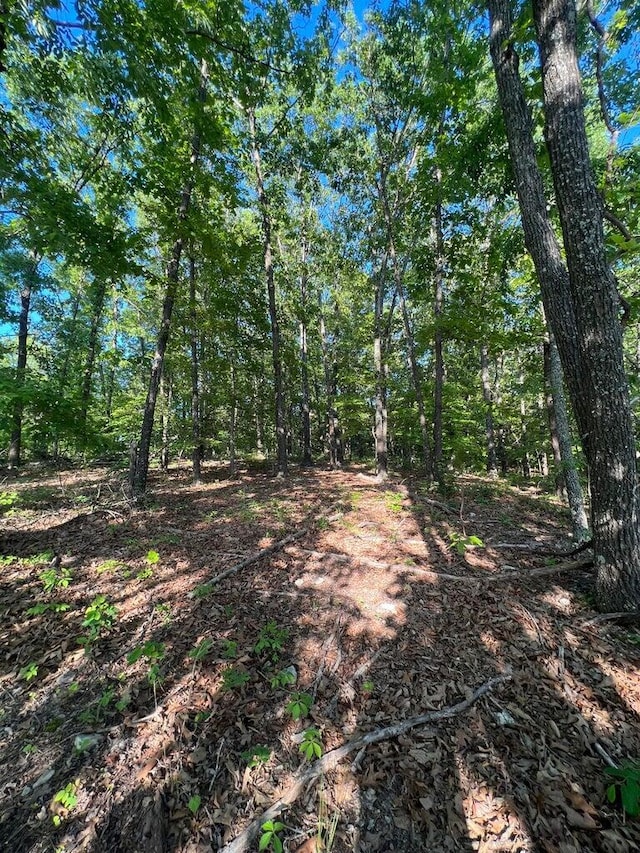 Tbd County Road 553a, Gainesville, MO 65655 - photo 11