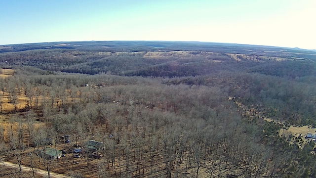Tbd County Road 553a, Gainesville, MO 65655 - photo 7
