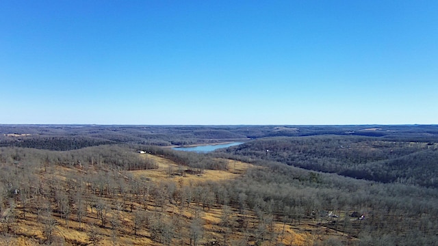 Tbd County Road 553a, Gainesville, MO 65655 - photo 5