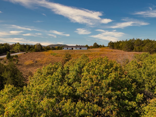 view of local wilderness with a rural view