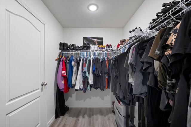 spacious closet with hardwood / wood-style flooring