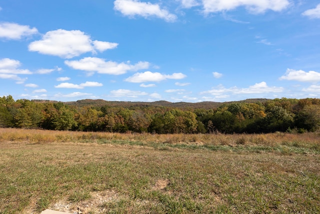 view of mountain feature