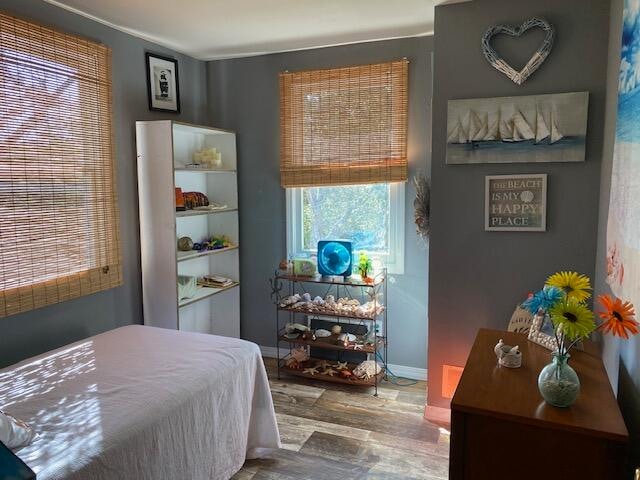 bedroom featuring hardwood / wood-style flooring