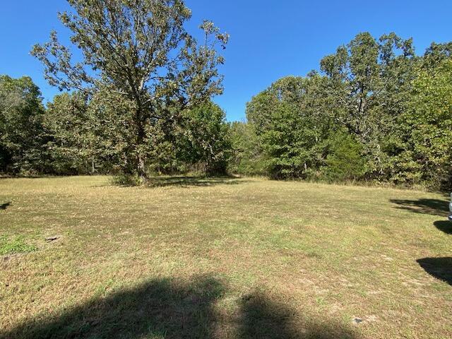 view of yard with a view of trees