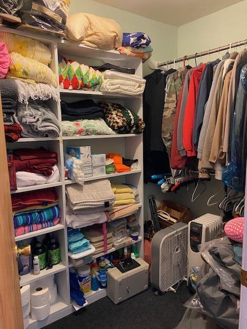 walk in closet with carpet
