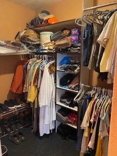 walk in closet featuring carpet floors