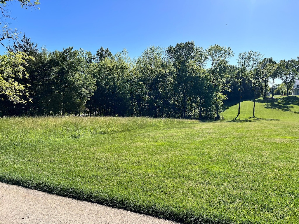LOT2 Walnut Hill Ln, Ozark, MO 65721