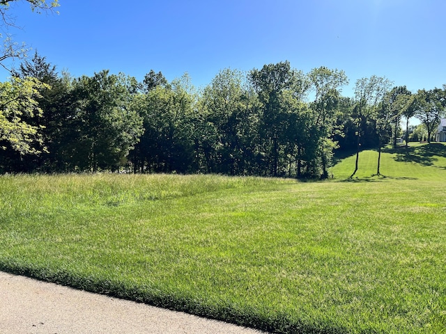 LOT2 Walnut Hill Ln, Ozark, MO 65721