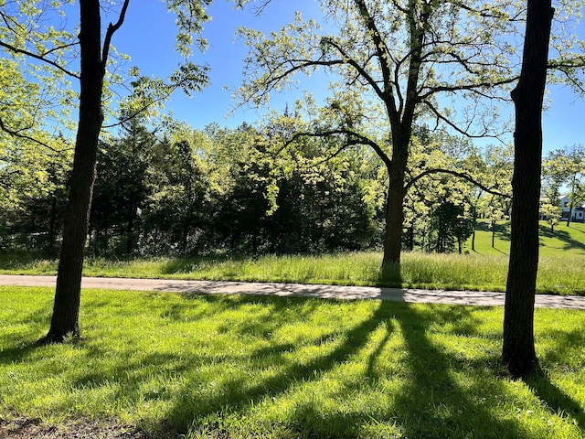 LOT2 Walnut Hill Ln, Ozark, MO 65721