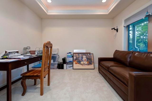 office space featuring a tray ceiling and light carpet