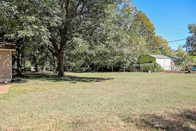 view of yard featuring a shed