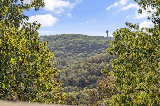 view of mountain feature