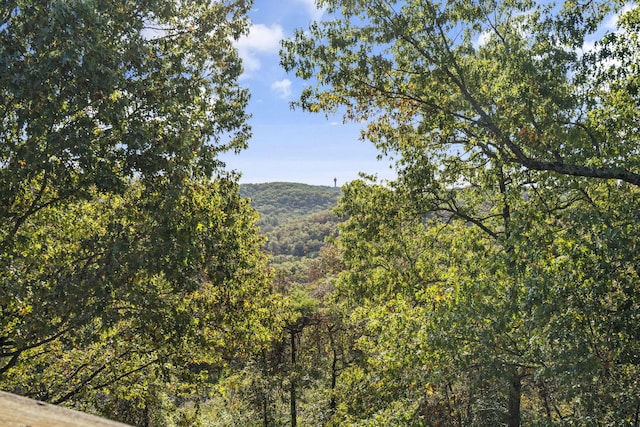 view of mountain feature