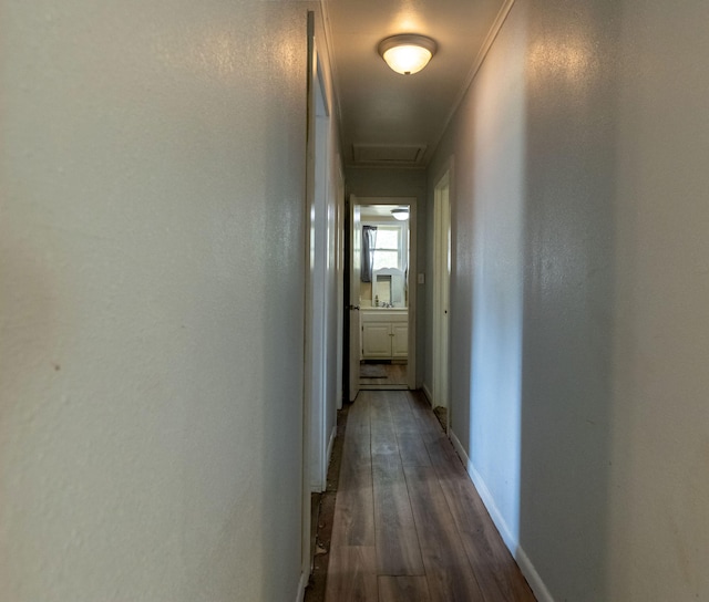 corridor featuring ornamental molding and dark wood-type flooring