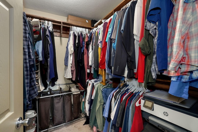 walk in closet featuring carpet