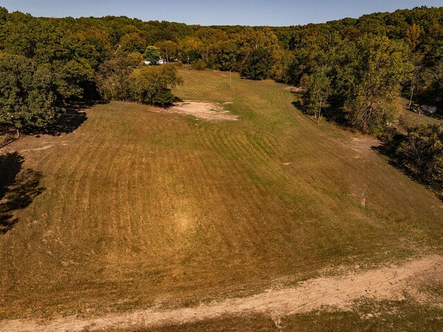 LOT2 Saddle Club Rd, Fordland, MO 65652 - photo 13