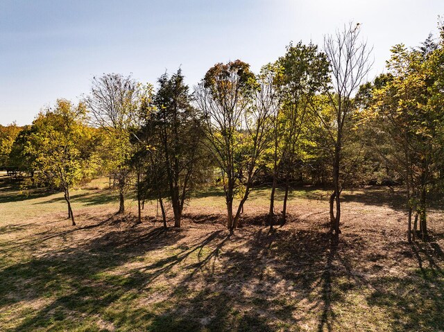 LOT2 Saddle Club Rd, Fordland, MO 65652 - photo 17