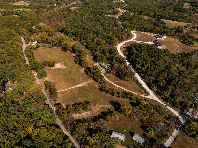 LOT2 Saddle Club Rd, Fordland, MO 65652 - photo 6
