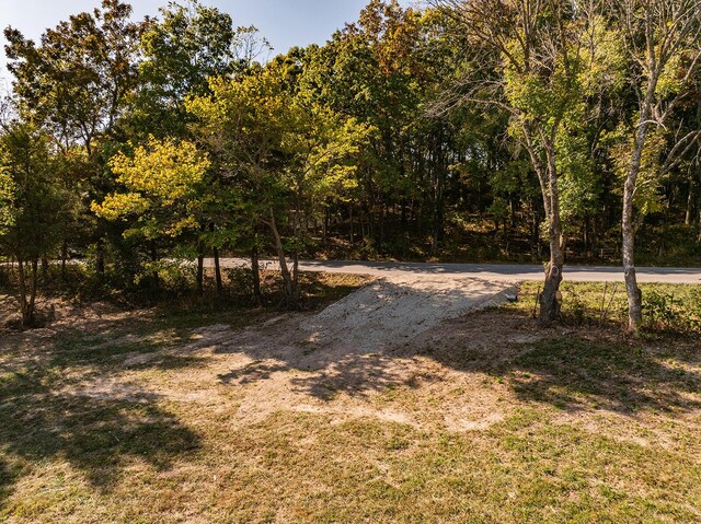 LOT2 Saddle Club Rd, Fordland, MO 65652 - photo 16
