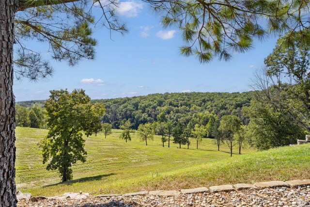 469 Valley Creek Rd, Clever, MO 65631