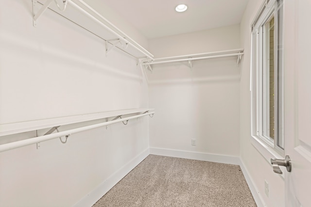 spacious closet with light carpet