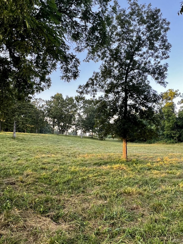 000 E 1500th Rd, Stockton, MO 65785 - photo 3