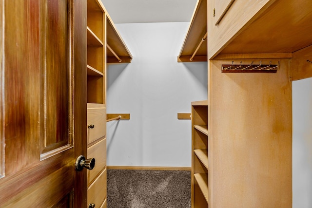 spacious closet with carpet floors