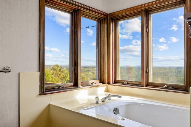 bathroom featuring plenty of natural light and a bathtub