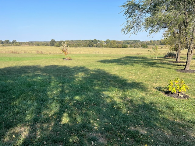 view of yard with a rural view