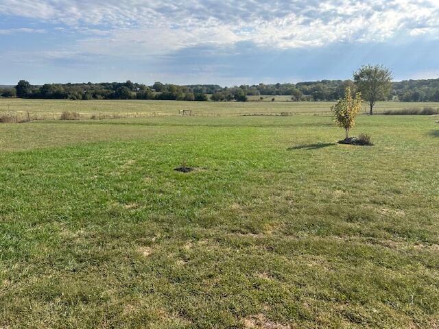 view of yard featuring a rural view