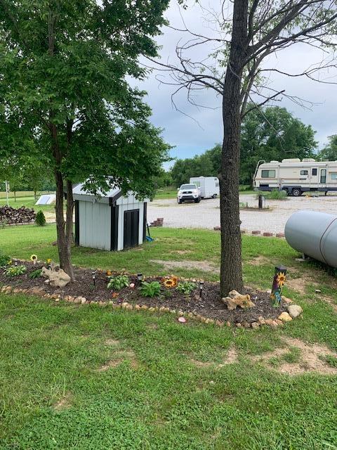 view of yard featuring a shed