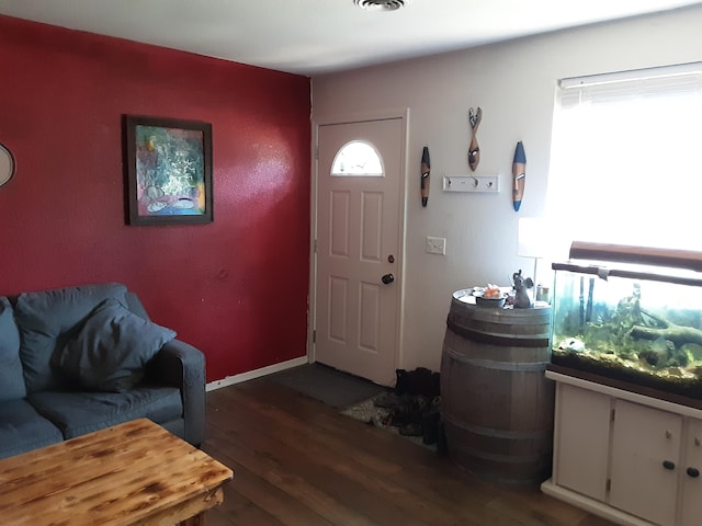 entrance foyer with a wealth of natural light and dark hardwood / wood-style floors