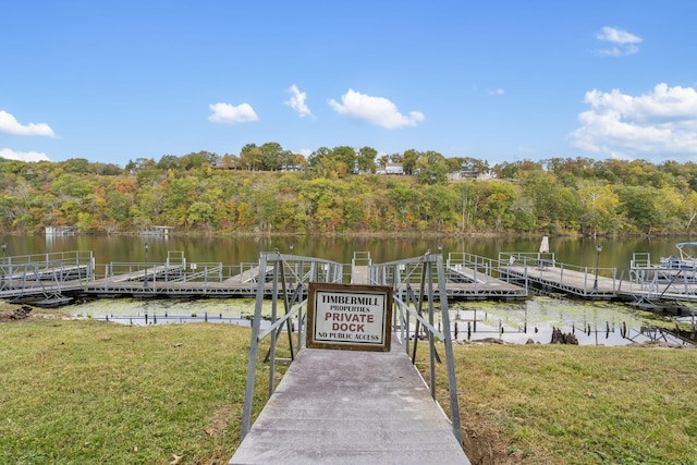 dock area with a yard and a water view